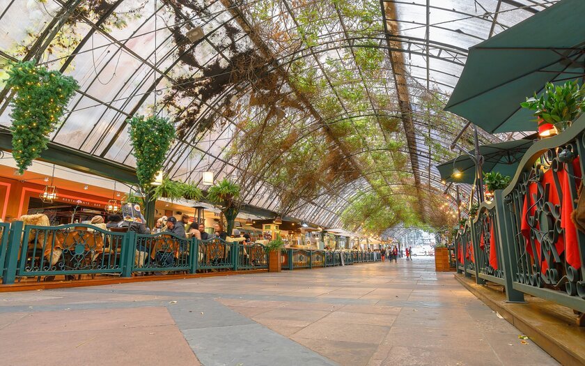 Gramado com neve — o sonho de inverno