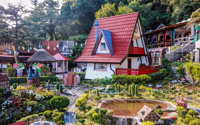 Hortênsias — a flor símbolo de Gramado